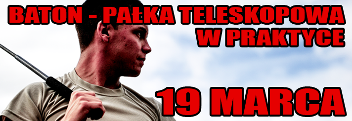 palka teleskowa